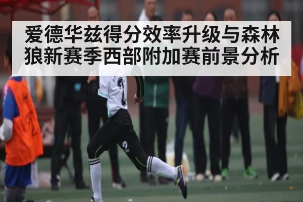 爱德华兹得分效率升级与森林狼新赛季西部附加赛前景分析(kaiyun)